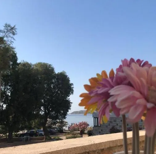 Allegria Butik * Ildiri